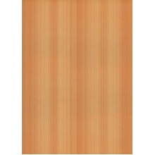 Плитка керамическая АМЕЛИ, низ желтая-люкс 250*350